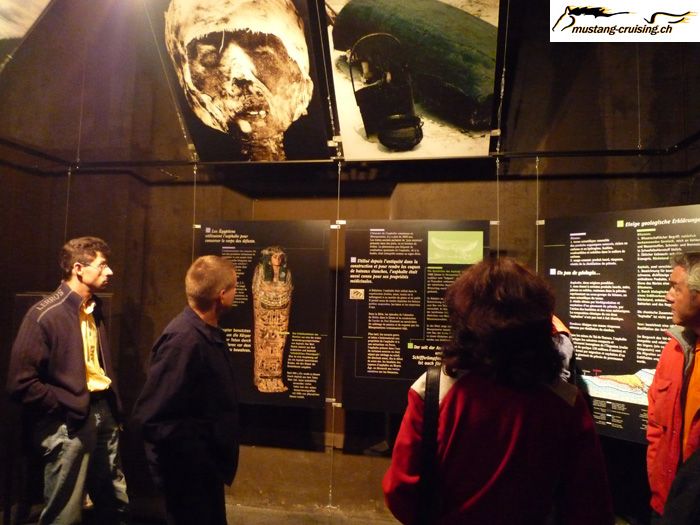 P1000955.jpg