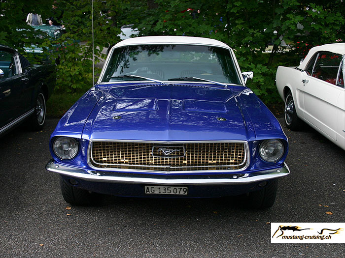CRW_3632_JFR.jpg