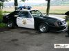 CRW_3639_JFR.jpg