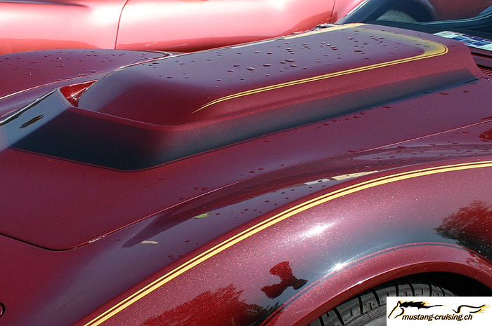 CRW_3699_JFR.jpg