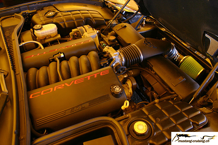 CRW_3724_JFR.jpg