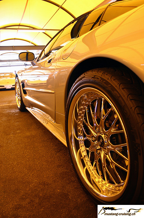 CRW_3728_JFR.jpg