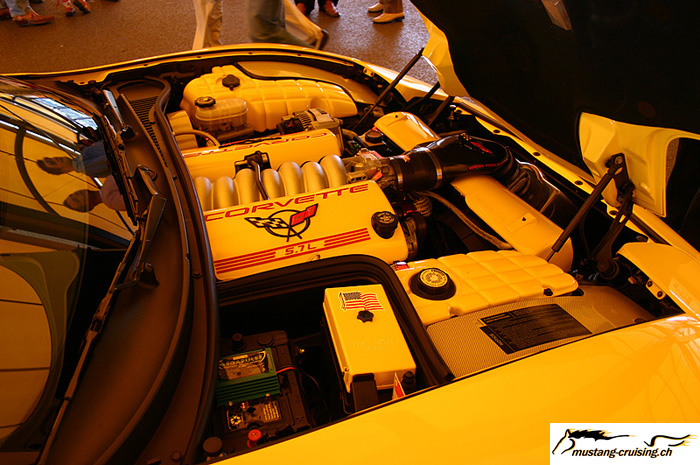 CRW_3730_JFR.jpg