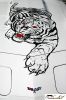 CRW_3708_JFR.jpg