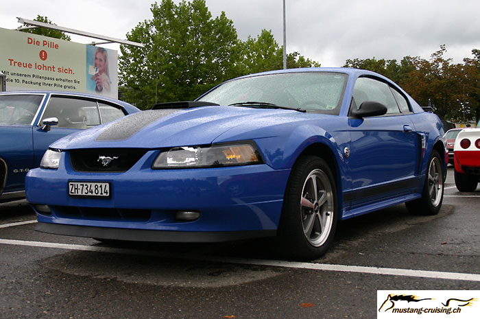 CRW_3887_JFR.jpg