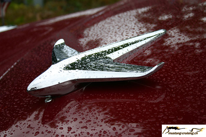 CRW_3903_JFR.jpg