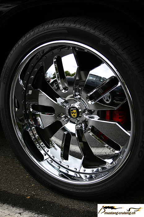 CRW_3925_JFR.jpg