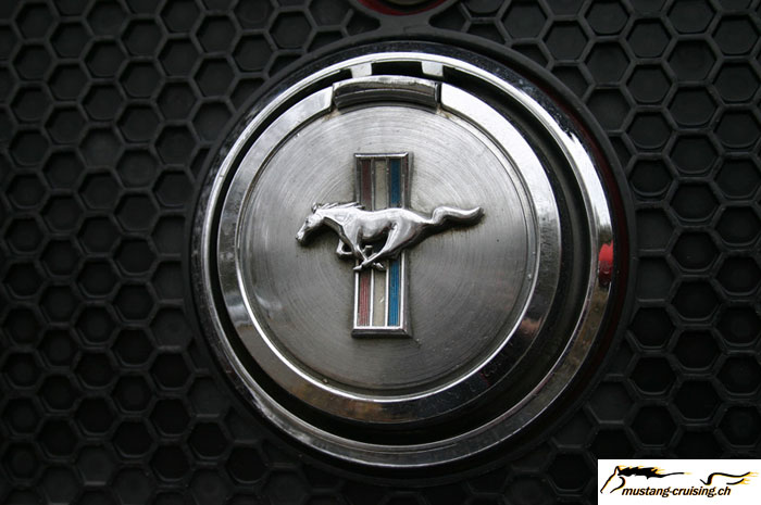 CRW_4769_JFR.jpg