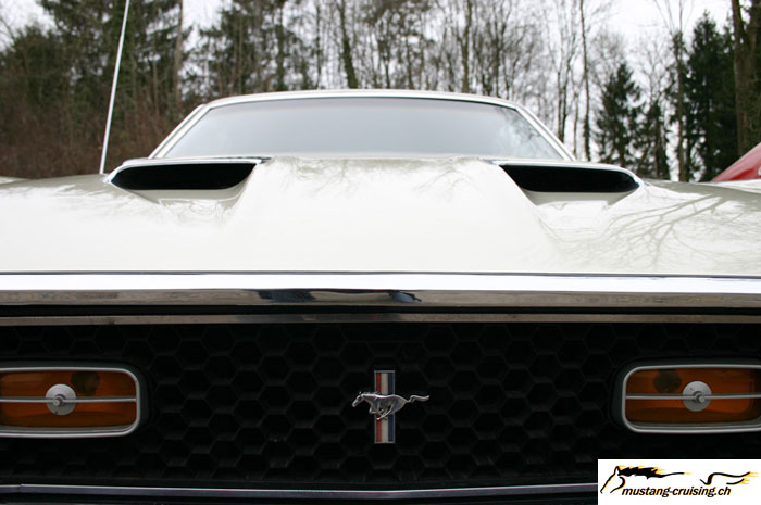 CRW_4774_JFR.jpg