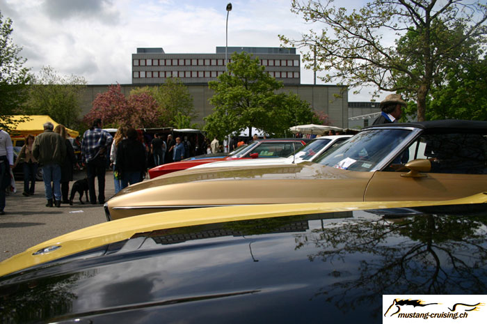 CRW_5757_JFR.jpg