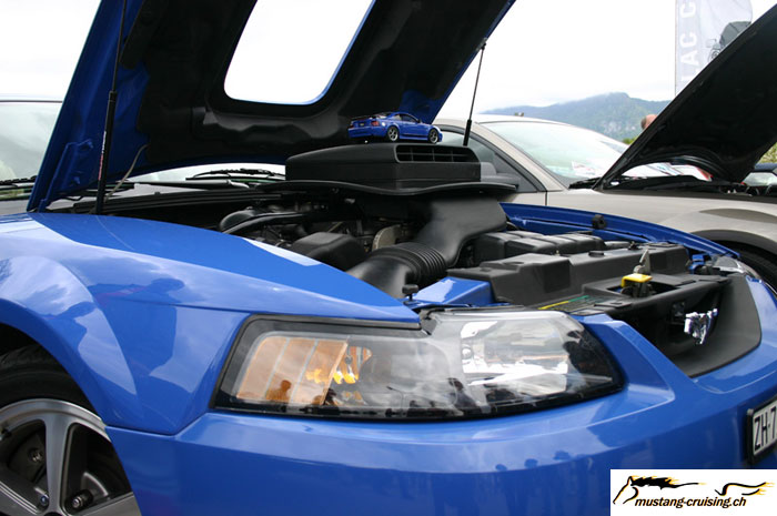 CRW_5782_JFR.jpg