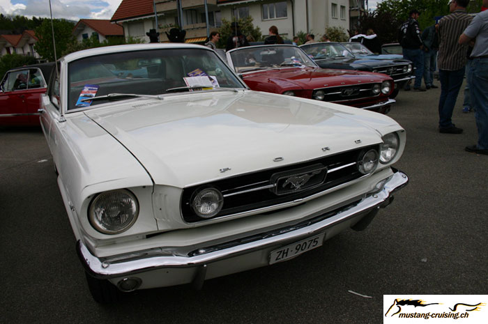 CRW_5790_JFR.jpg