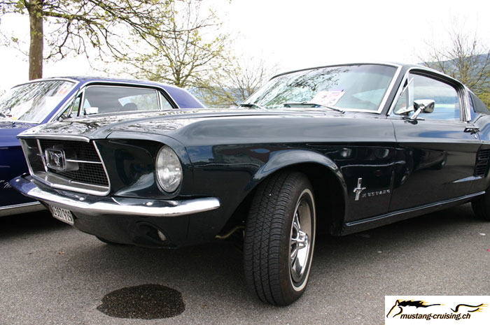 CRW_5793_JFR.jpg