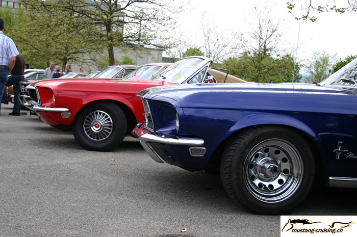 CRW_5794_JFR.jpg