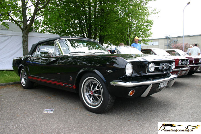 CRW_5803_JFR.jpg