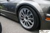 CRW_5783_JFR.jpg