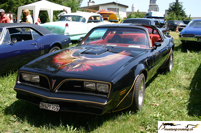 CRW_6225_JFR.jpg