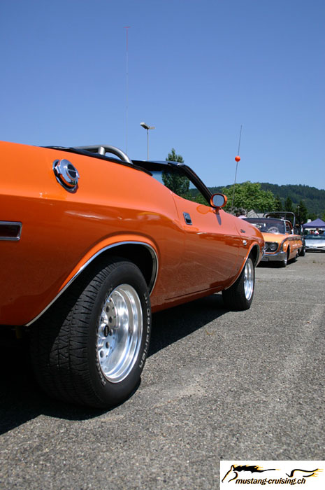 CRW_6388_JFR.jpg