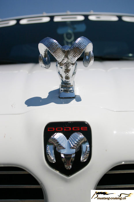 CRW_6391_JFR.jpg