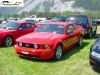 DSC00008.jpg