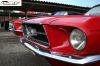 CRW_1440_JFR-700.jpg