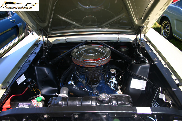CRW_2377_JFR.jpg