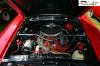 CRW_2352_JFR.jpg