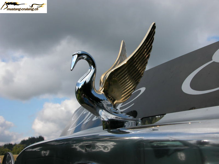 DSCN1591.jpg