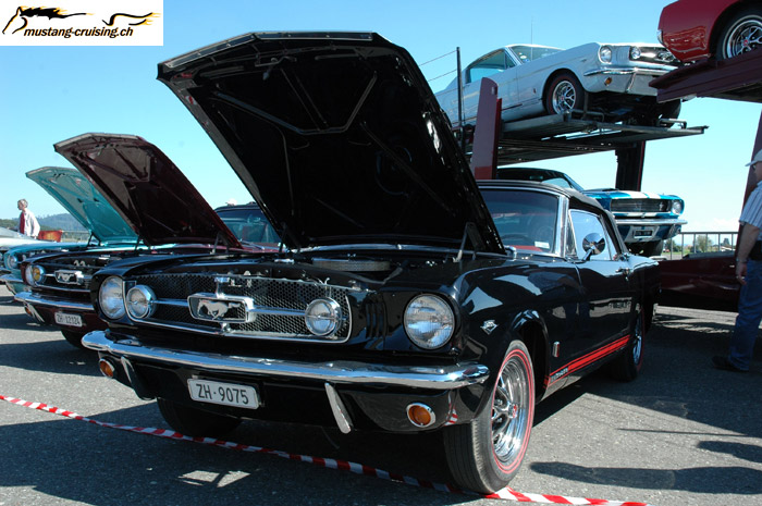 DSC_0768.jpg