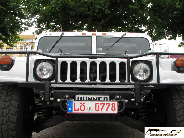 Volketswil2007_050.jpg