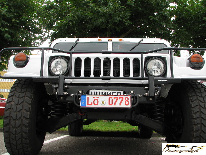 Volketswil2007_052.jpg