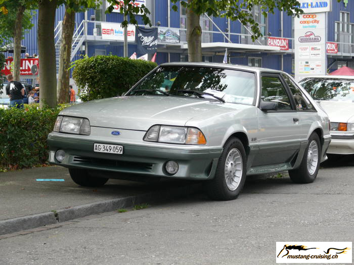 Volketswil_0090.jpg