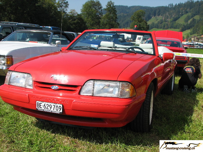 Bowil_006.jpg