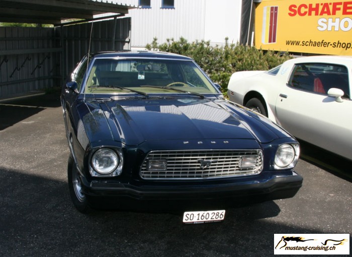 Grendi007.jpg