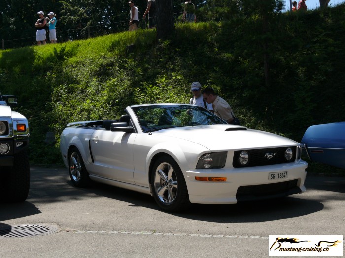 Sulgen044.jpg