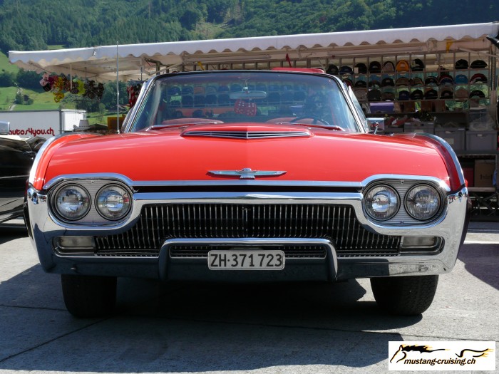 Mollis018.jpg