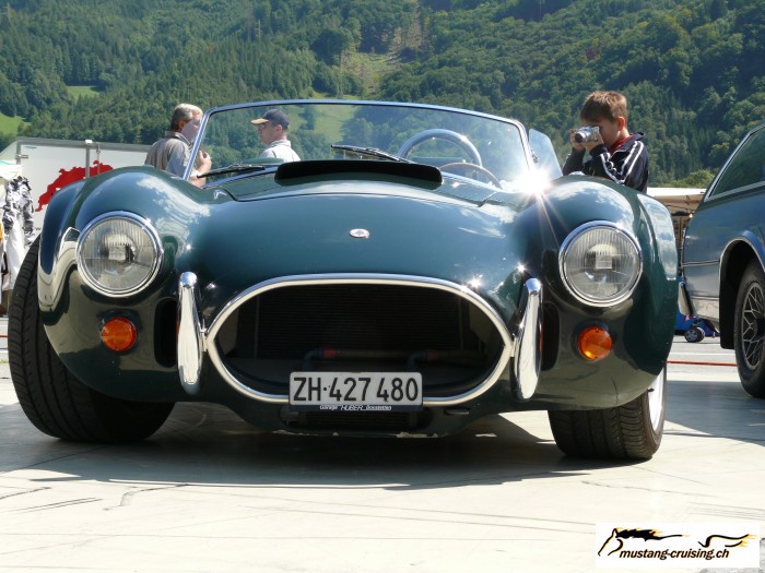 Mollis040.jpg