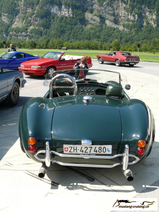 Mollis042.jpg