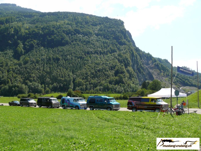 Mollis059.jpg