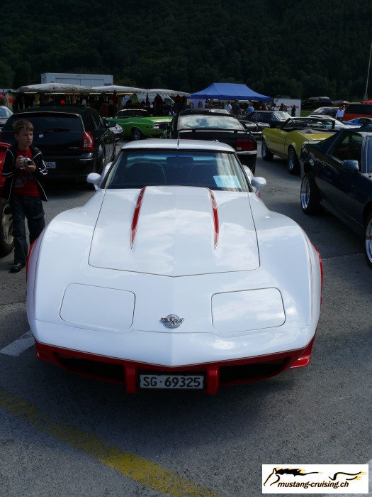 Mollis104.jpg