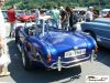 Mollis078.jpg