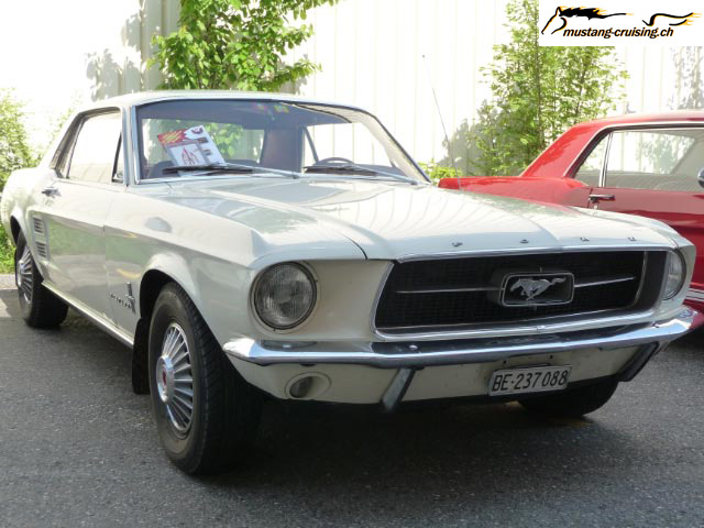 P1000746.jpg