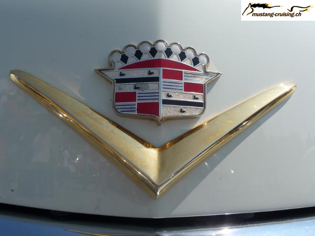 P1000763.jpg