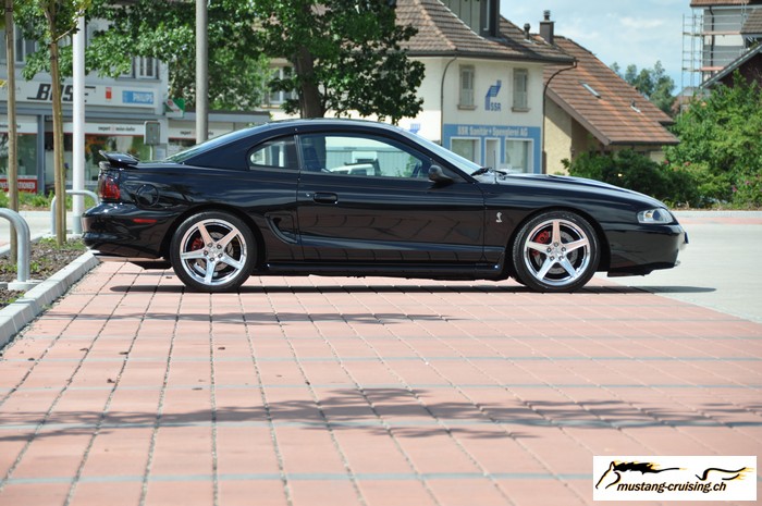 Rothrist076.jpg