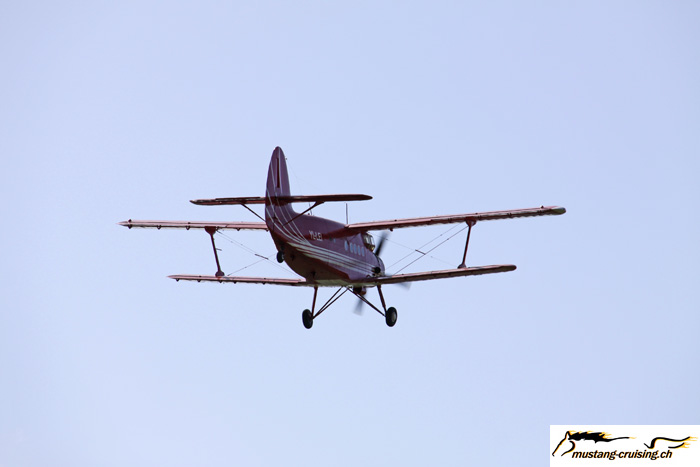 IMG_4462.jpg