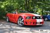 Birrfeld088.jpg