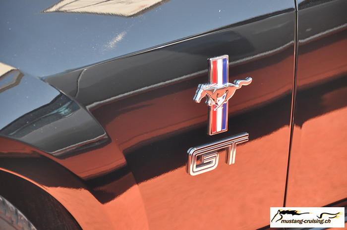 ls097.jpg