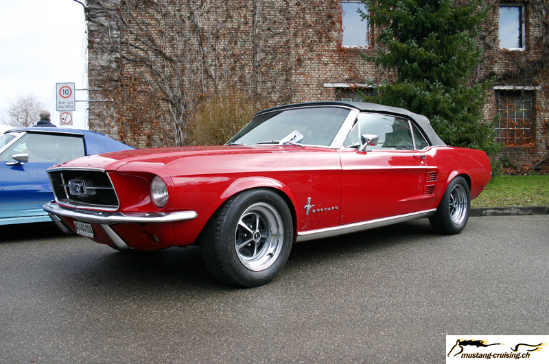 CRW_5131_JFR.jpg