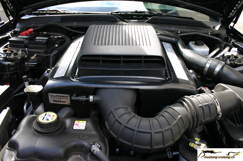 CRW_5186_JFR.jpg