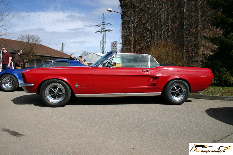 CRW_5199_JFR.jpg